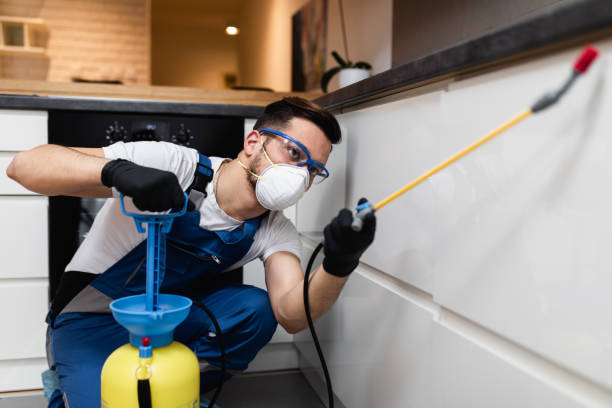 Best Emergency Pest Control  in Queens, NY