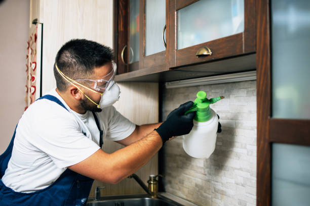Pest Control for Restaurants in Queens, NY