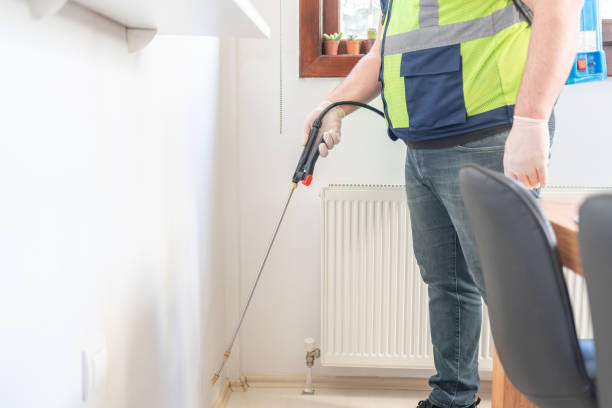 Best Mosquito Control Services  in Queens, NY
