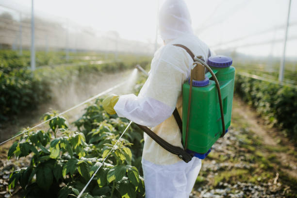 Pest Prevention Services in Queens, NY